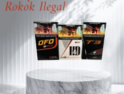 Siapa di Balik Peredaran Rokok Ilegal HD, T3, dan OFO Tanpa Cukai? Mafia Batam Diduga Jadi Aktor Besar